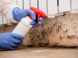 Why You Should Choose Our Mold Remediation Services in Eastvale, CA